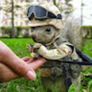 Meet your Posher, Edgar